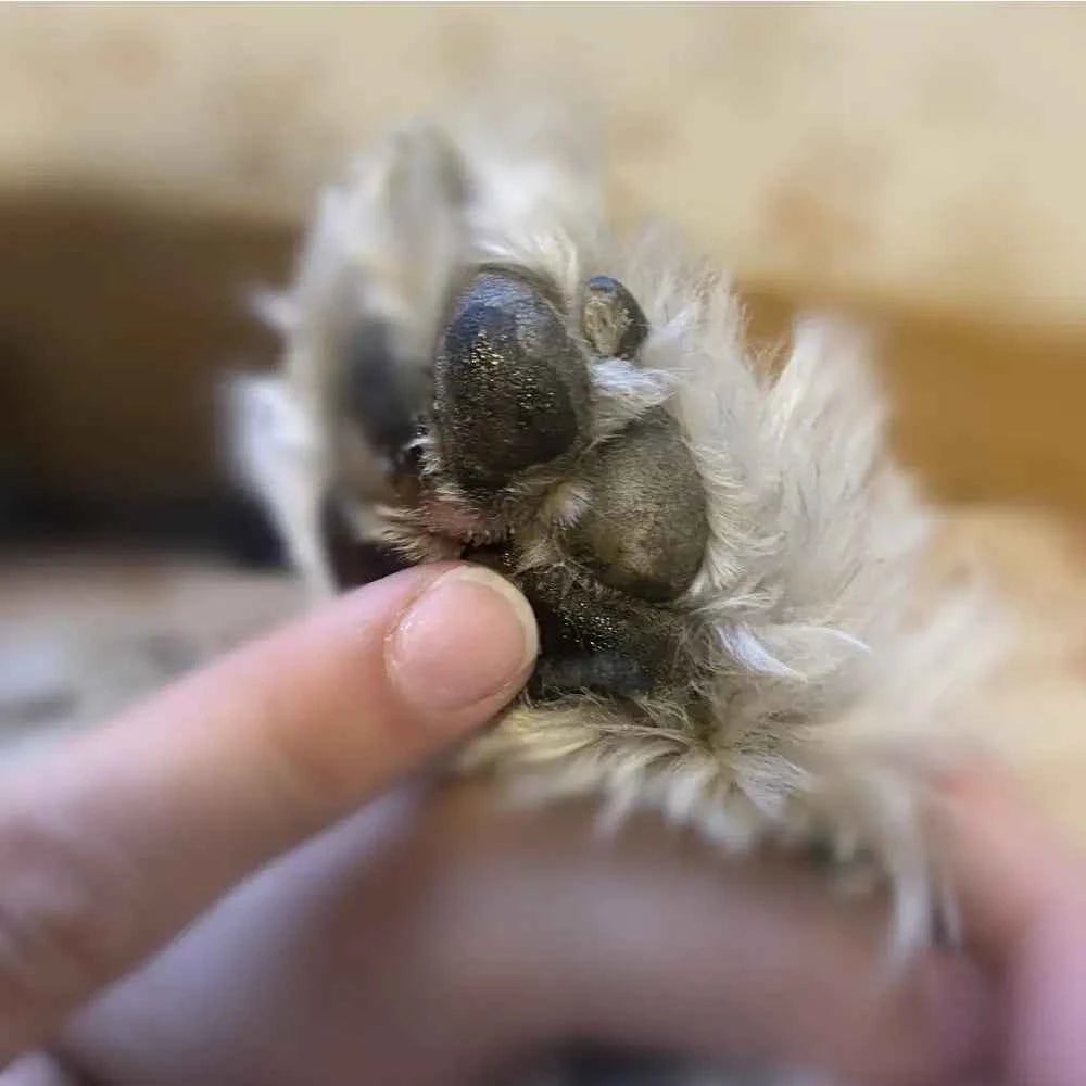 Humectante nanai FPS+30 mamitierra