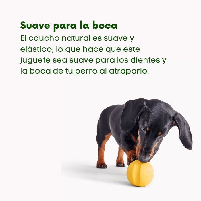 Fetch ball de Beco es una pelora suave para los dientes y la boca de tu perro.