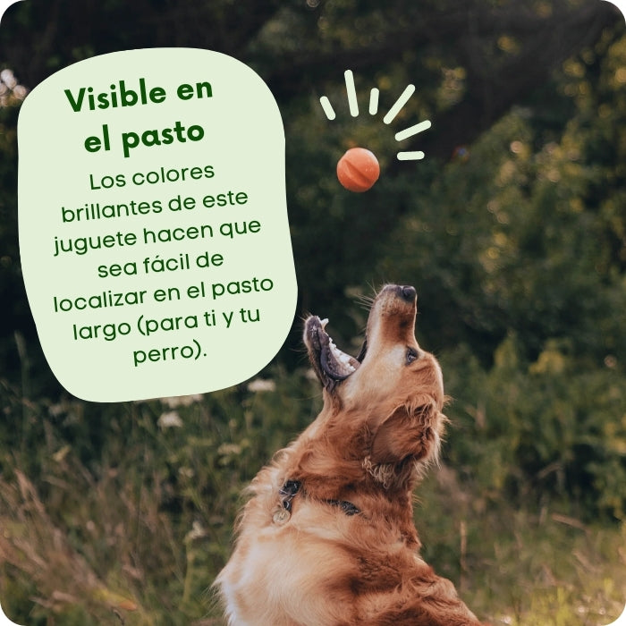 Fetch Ball de Beco es de colores brillanes para que sea fácil de encontrar en el pasto.
