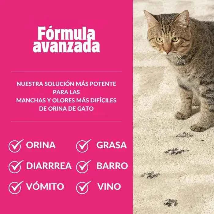 Severe Mess Stain and Odor Skout's Honor Gatos | Limpiador Extremo