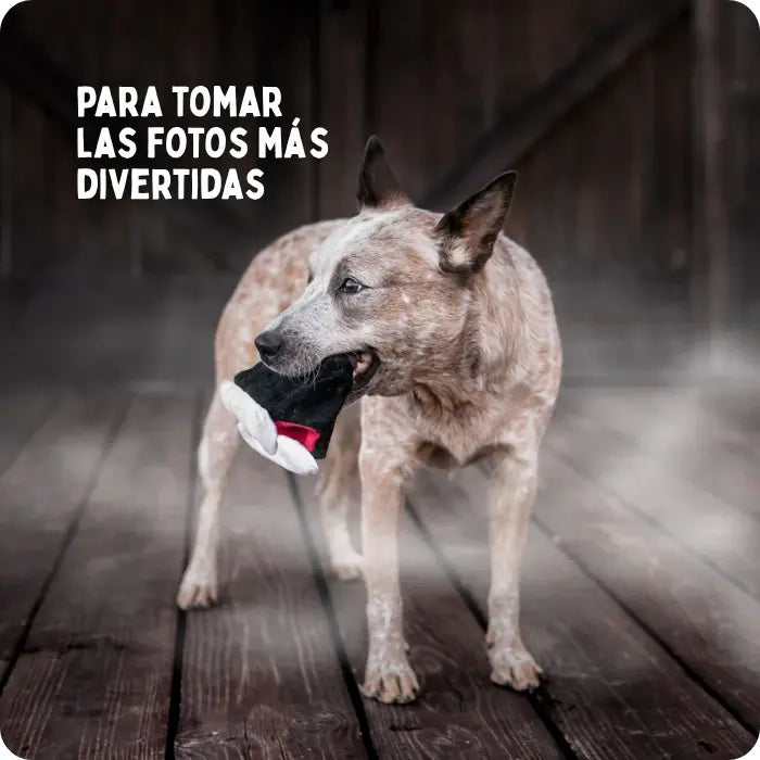 Juguete Mordedor de Peluche para Perros PLAY Howling Haunts Dientes de Vampiro