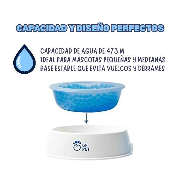 Bowl Congelable GF PET