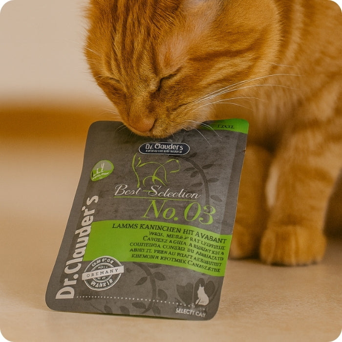 Gato comiendo alimento húmedo completo Best slestion No. 03 Dr. Clauders Conejo, cordero y amaranto