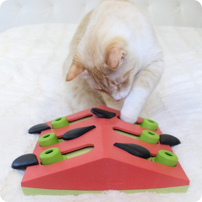 Gato jugando con Melon Madness juguete cognitivo tipo puzzle para gatos de Nina Ottosson