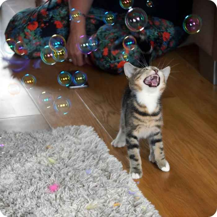 Burbujas de catnip para gatos | Catit