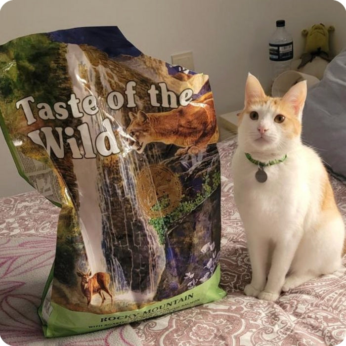 Taste of the Wild Rocky Mountain para gatos.