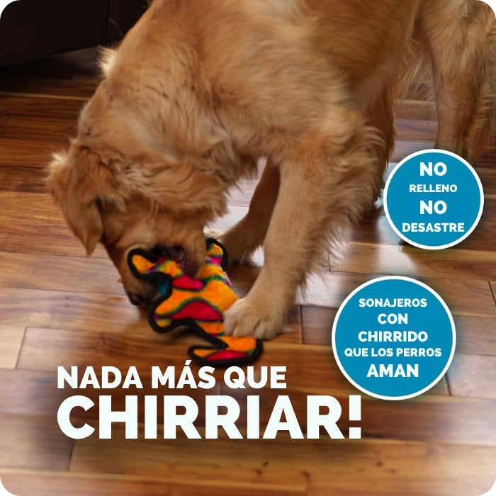 Peluche sensorial para perros Gecko M Durablez Outward Hound sin relleno, sin desastres