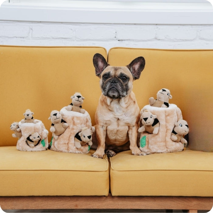 Peluche sensorial para perros hide a squirrel comparacion de tamaños entre tallas