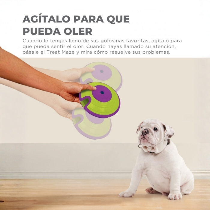 Cómo utilizar puzzle juguete cognitivo nivel 2 Nina Ottosson Dog Treat maze