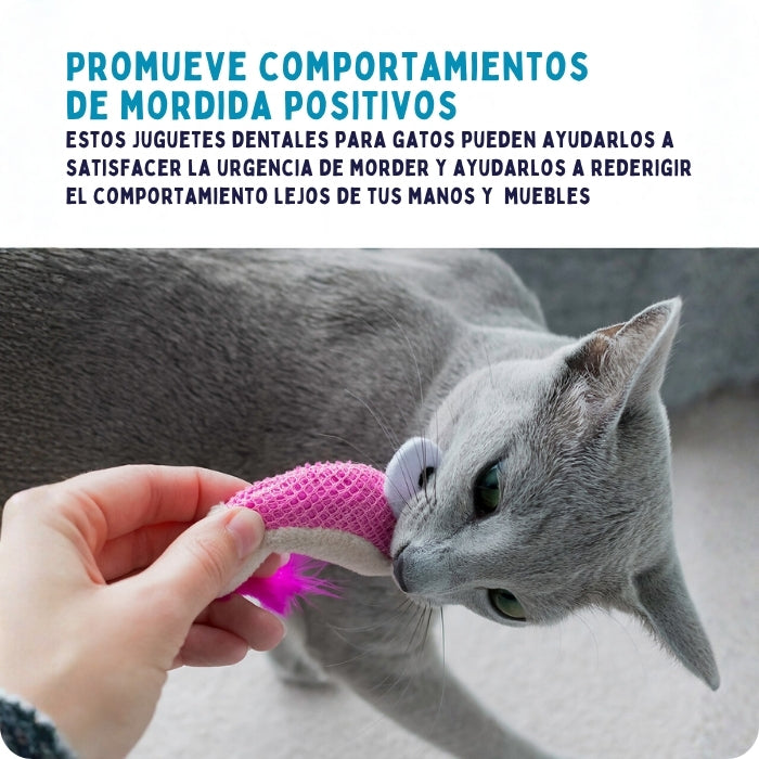Juguete dental para gatos ayuda a promover comportamientos de mordida positivos