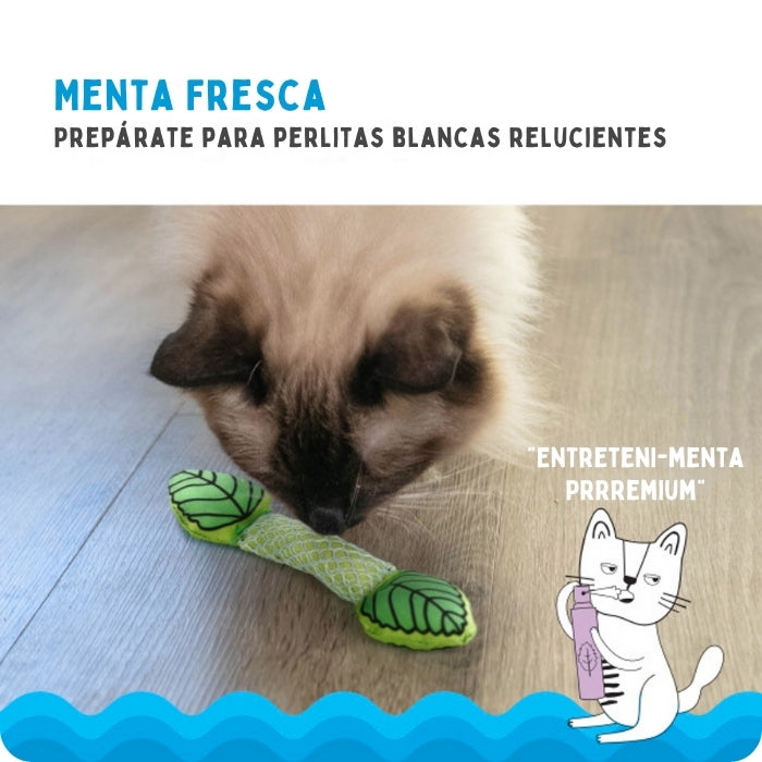 Juguete dental para gatos Menta fresca Catstages