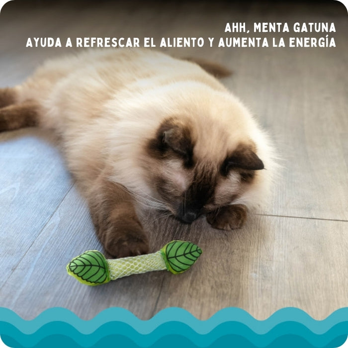 Peluche funcional para gatos. Ayuda a refrescar el aliento y aumenta la energía