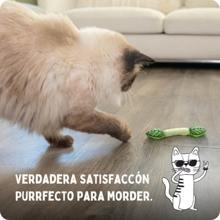 Juguete dental para gatos, simplemente purrfecto para morder.