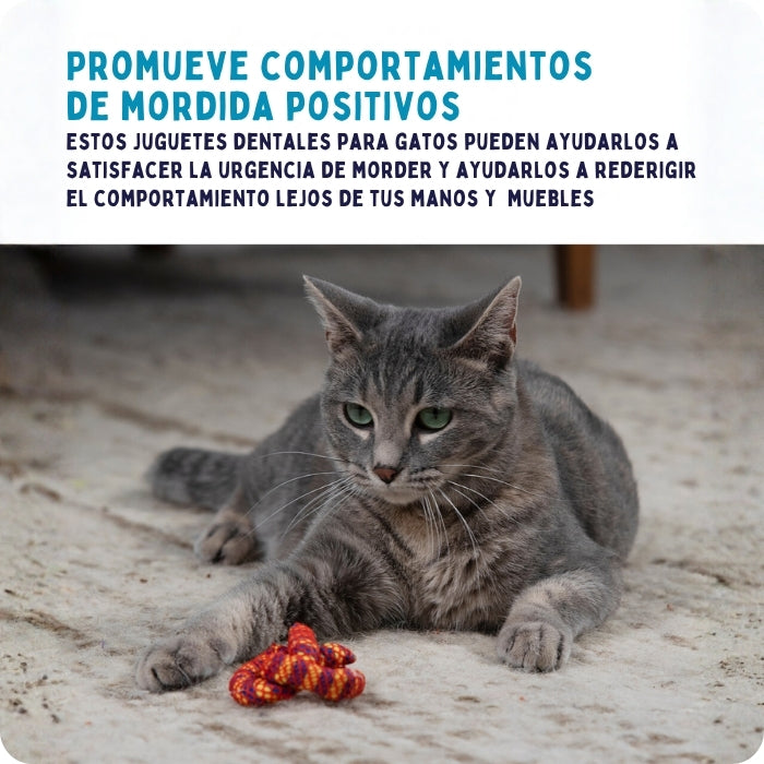Juguete dental funcional para gatos promueve comportamientos de mordida positivos y ayuda a redirigir mordidas.
