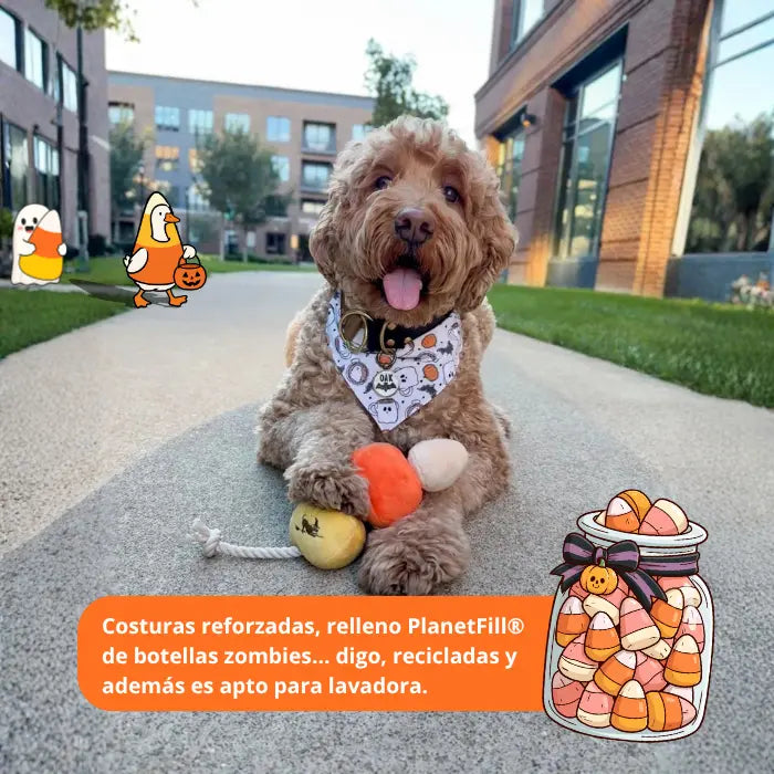 Juguete para Perros con Cuerda Halloween PLAY Howling Haunts Caramelo de Maiz