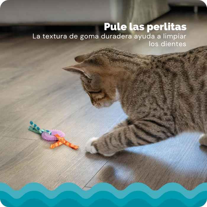 Kitty Chew Wheel | Mordedor para gatos | Catstages