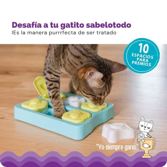 Kitty Cube | Puzzle Nivel 2 para gatos | Catstages