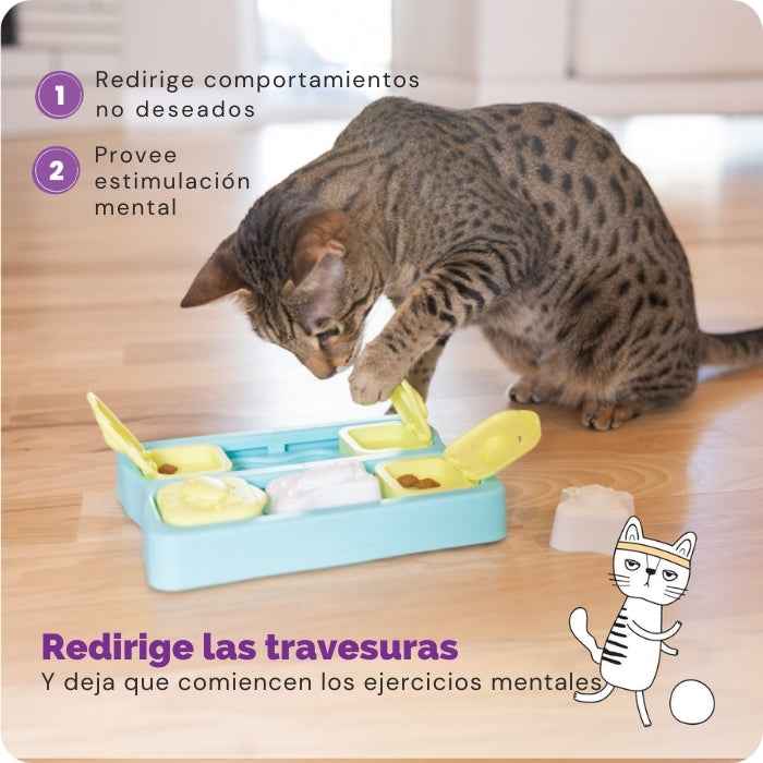 Kitty Cube | Puzzle Nivel 2 para gatos | Catstages