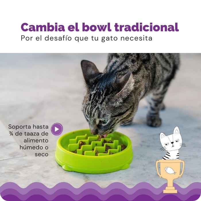 Comedero lento para Gatos | Outward Hound