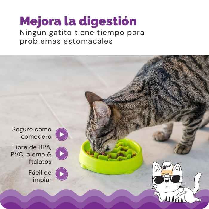 Comedero lento para Gatos | Outward Hound