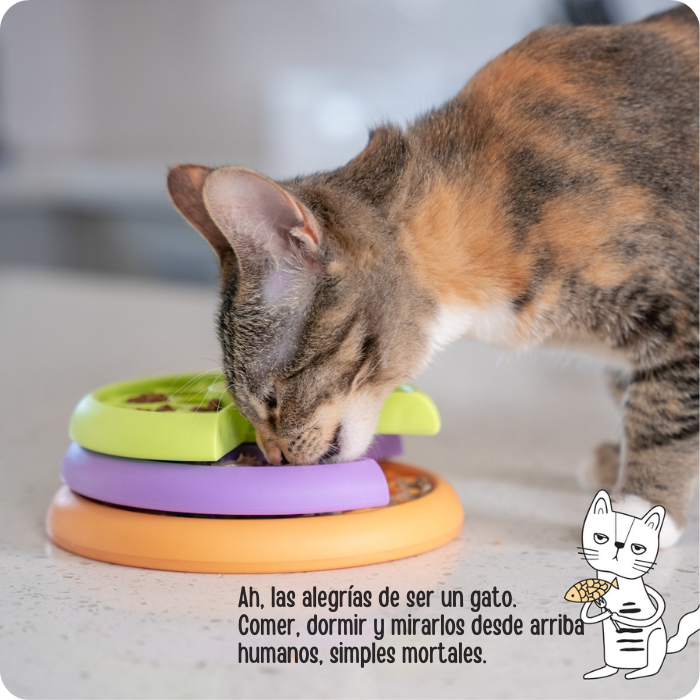 Kitty Lickin layers, haz que tu gato disfrute de las alegrías de ser un gato.