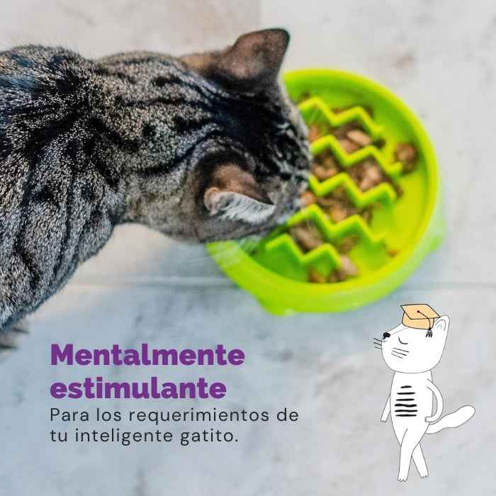 Comedero lento para Gatos | Outward Hound