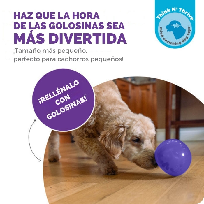 Lil Snoop de Planet Dog: Haz que la hora de las golocinas sea más divertida.