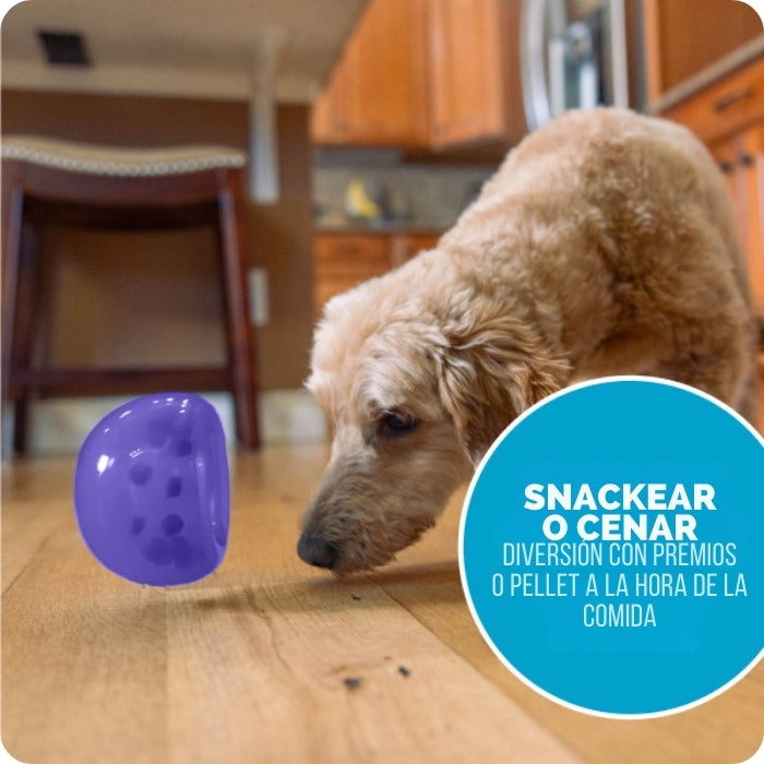 Lil Snoop de Planet Dog ideal para snackear o para cenar. Diversión. aToda hora