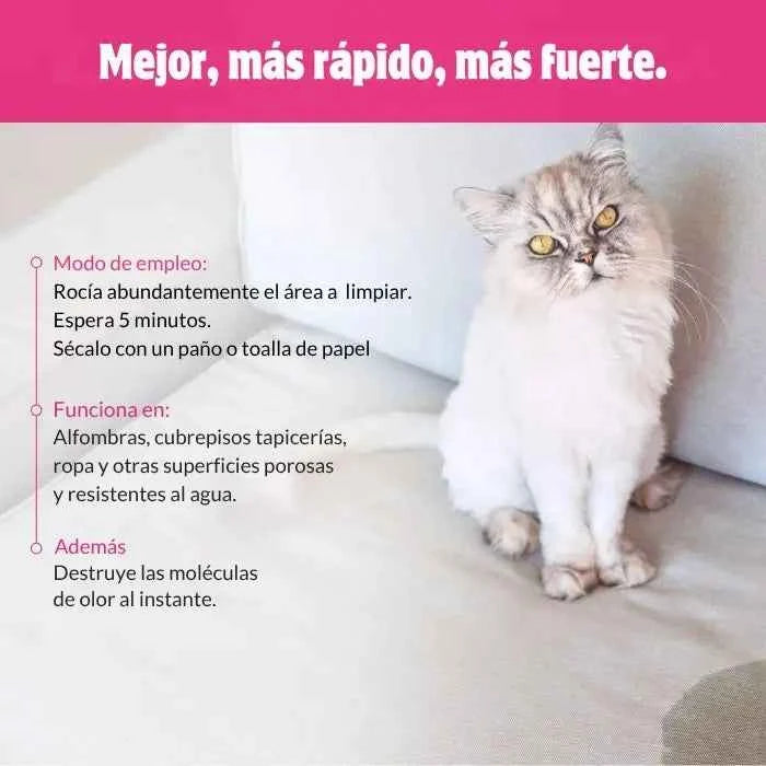 Severe Mess Stain and Odor Skout's Honor Gatos | Limpiador Extremo