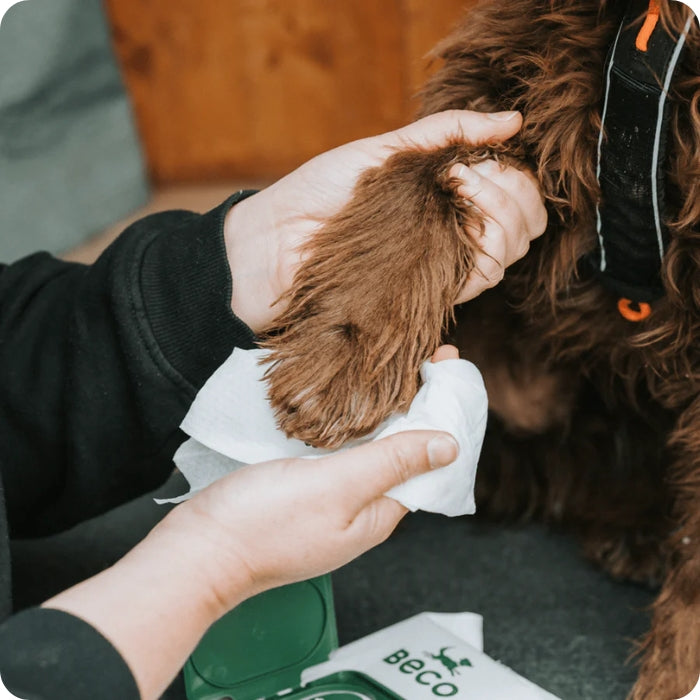 Limpia las patitas de tu perro facilmente después de los paseos