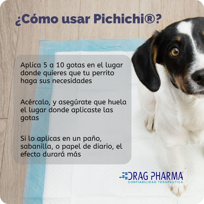 ¿Cómo usar Pichichi de Drag Pharma? Aplicar 5 a 10 gotas en donde quieres que la mascota haga pipí, enséñale dónde las pusiste.