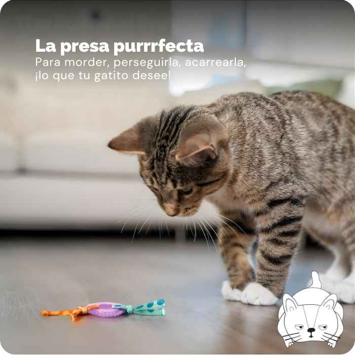 Kitty Chew Wheel | Mordedor para gatos | Catstages