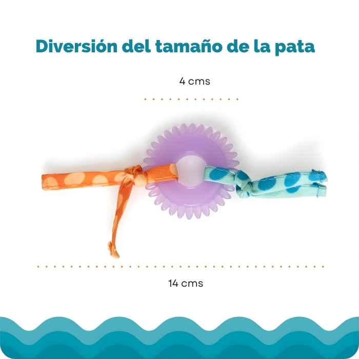 Kitty Chew Wheel | Mordedor para gatos | Catstages