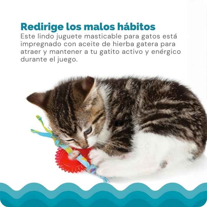 Kitty Chew Wheel | Mordedor para gatos | Catstages