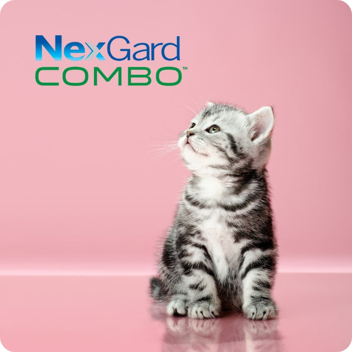 Nexgard Combo, protege a tu gatito