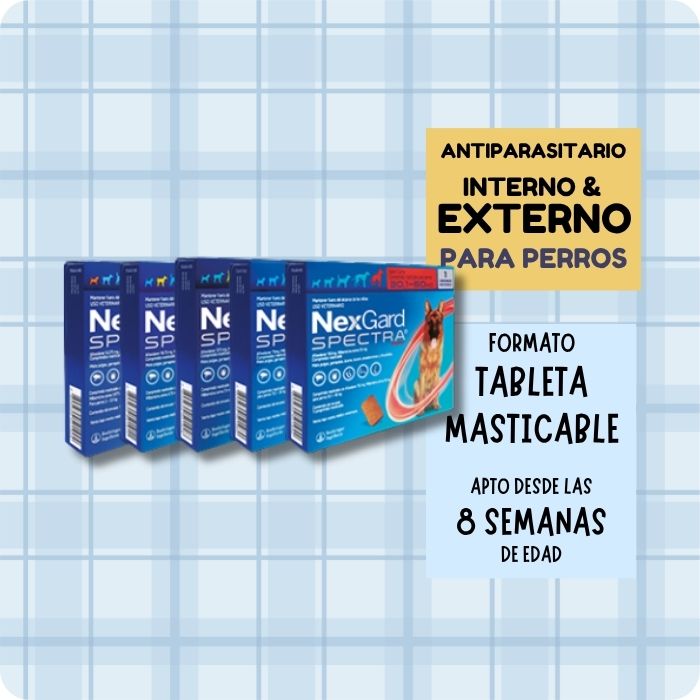 Nexgard Spectra antiparasitario interno y externo para perros
