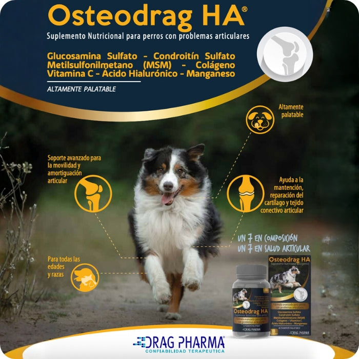 Propiedades suplemento nutricional para perros con problemas articulares Osteodrag HA
