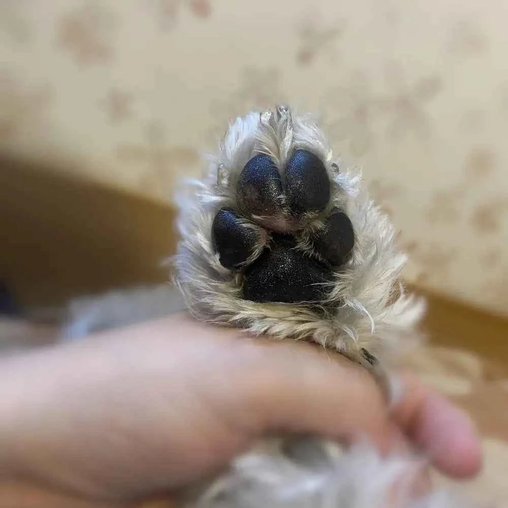 Humectante nanai FPS+30 mamitierra