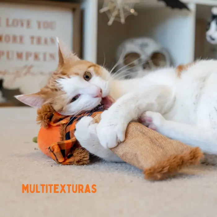 Peluche para Gatos con Hierba Gatera PLAY Feline Frenzy El Espantamiaujaros Kicker