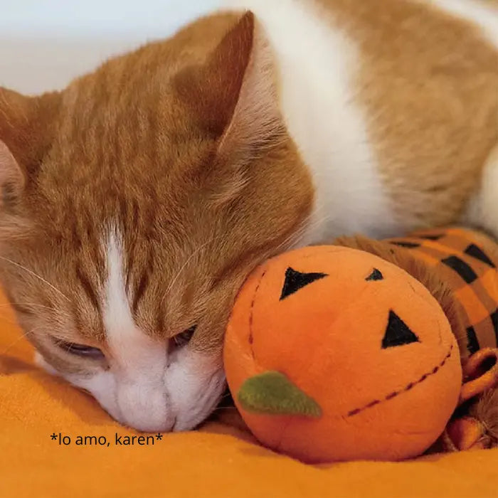 Peluche para Gatos con Hierba Gatera PLAY Feline Frenzy El Espantamiaujaros Kicker