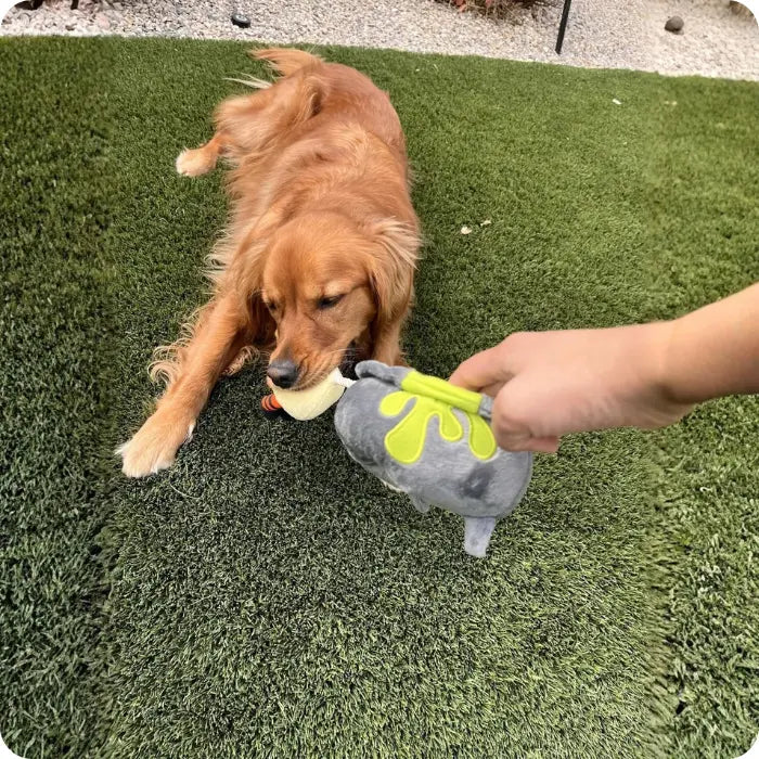 Juguete Interactivo para Perros con Sonido PLAY Howling Haunts Pocion Magica
