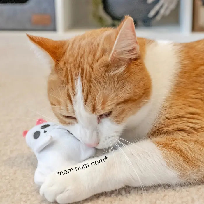 Peluches para Gatos con Catnip Organico PLAY Feline Frenzy Una Michi Pandilla de Miedo Set x2