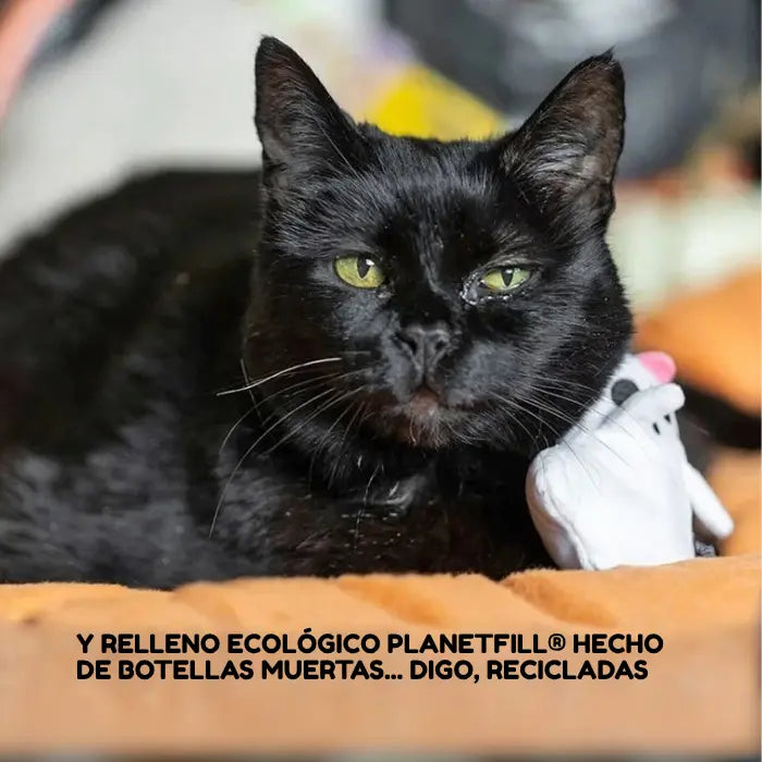 Peluches para Gatos con Catnip Organico PLAY Feline Frenzy Una Michi Pandilla de Miedo Set x2