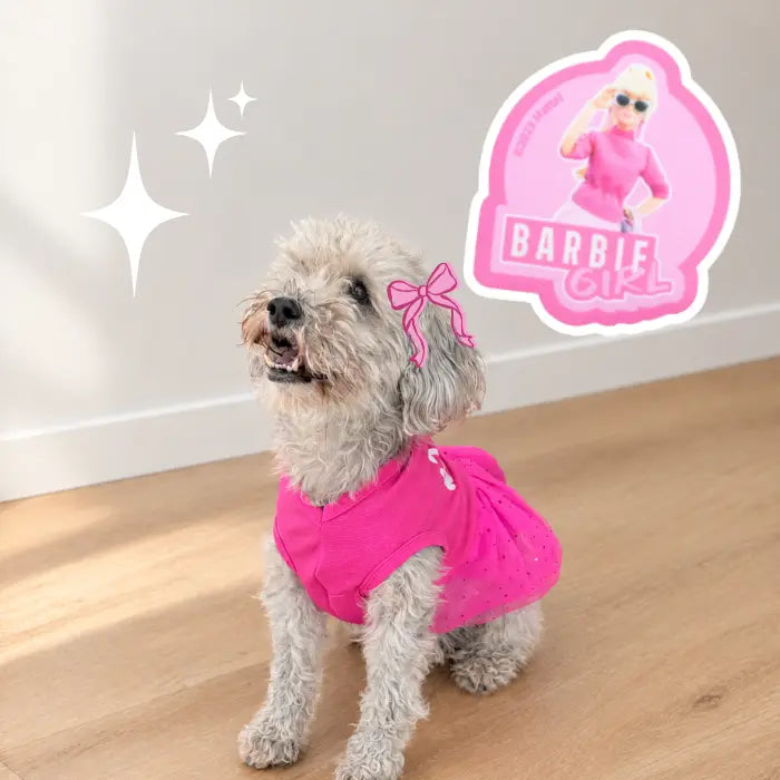 Disfraz de Barbie para perros y gatos | Confección Nacional