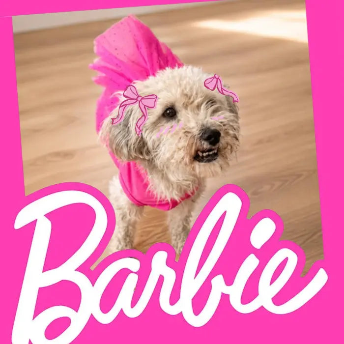 Disfraz de Barbie para perros y gatos | Confección Nacional