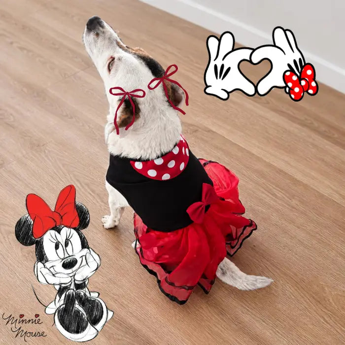 Disfraz de Minnie para perros y gatos | Confección Nacional