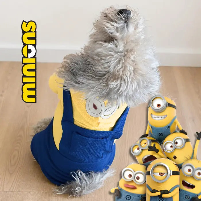 Disfraz de Minion para perros y gatos | Confección Nacional