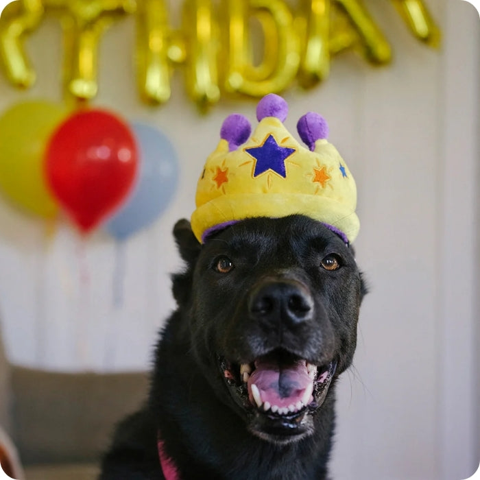 Ideal para celebraciones, la Canine Crown de P.L.A.Y es un peluche sensorial que alegra cualquier ocasión.