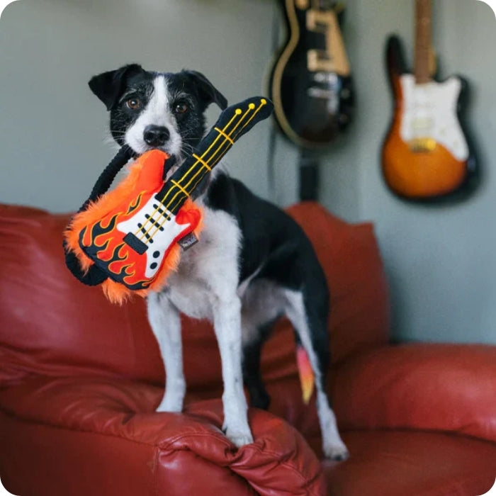 Perrito jugando con peluche sensorial para perros Rock n' rollover de P.L.A.Y Guitarra eléctrica.