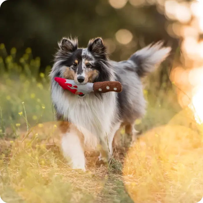 Juguete para Perros Daga de Halloween PLAY Howling Haunts | Doggy Daga